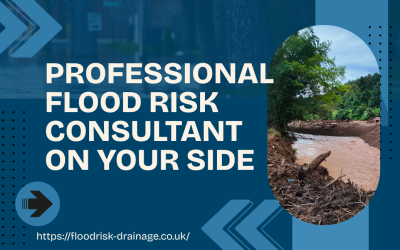 Flood Risk Consultant